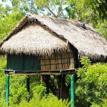 Hotel Yala Beddegama Eco Kataragama Exterior foto