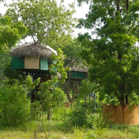 Hotel Yala Beddegama Eco Kataragama Exterior foto