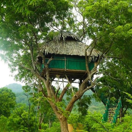 Hotel Yala Beddegama Eco Kataragama Exterior foto