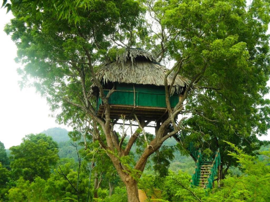 Hotel Yala Beddegama Eco Kataragama Exterior foto