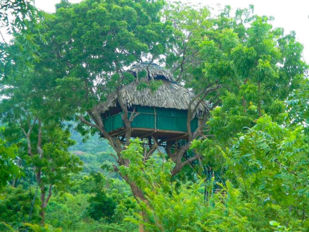 Hotel Yala Beddegama Eco Kataragama Exterior foto