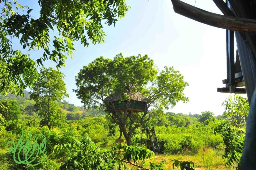 Hotel Yala Beddegama Eco Kataragama Exterior foto
