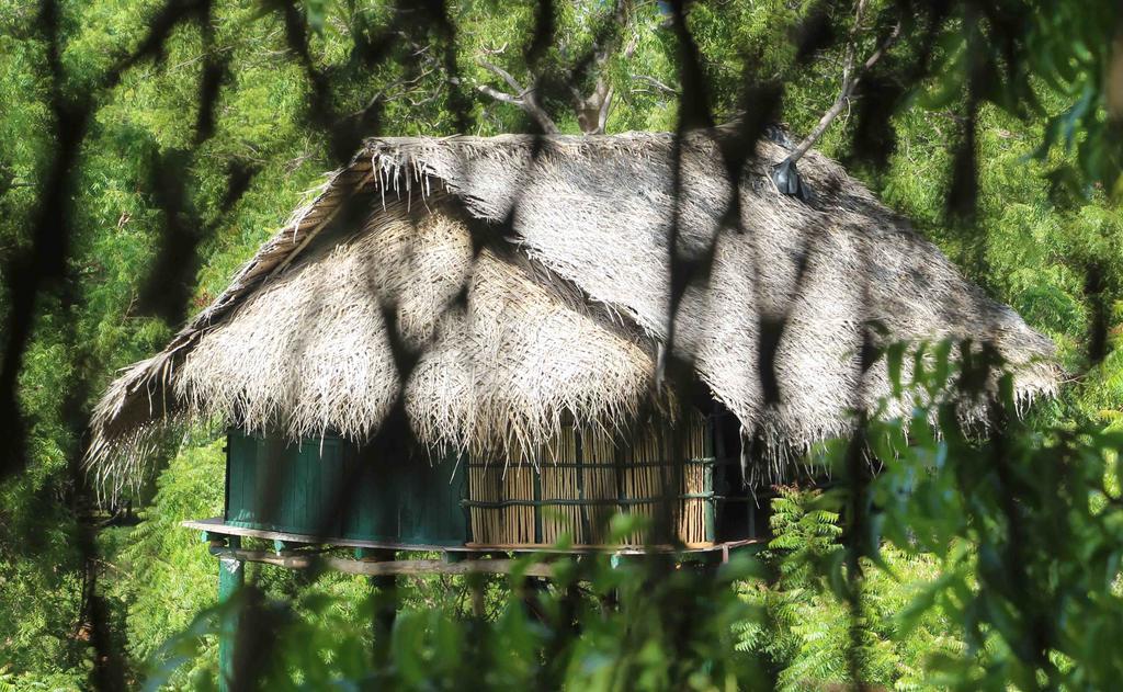 Hotel Yala Beddegama Eco Kataragama Exterior foto