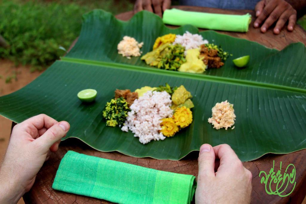 Hotel Yala Beddegama Eco Kataragama Exterior foto