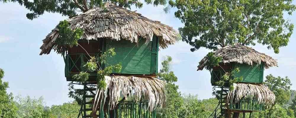 Hotel Yala Beddegama Eco Kataragama Exterior foto